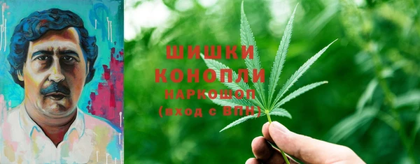 PSILOCYBIN Алзамай