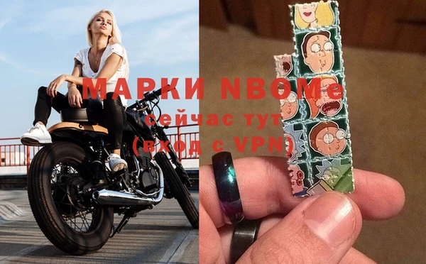 PSILOCYBIN Алзамай