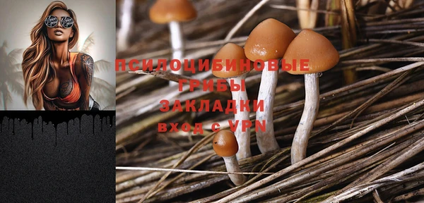 PSILOCYBIN Алзамай