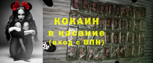 молекула духа Алексин