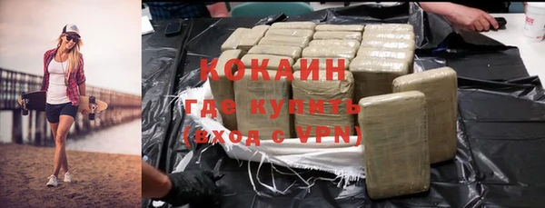 прущие грибы Зерноград