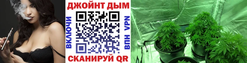 Бошки Шишки VHQ  Циолковский 